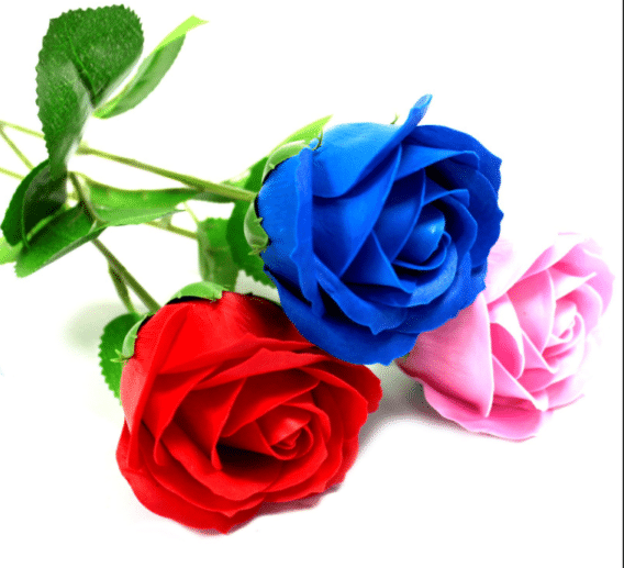 Rose de Savon – Image 7