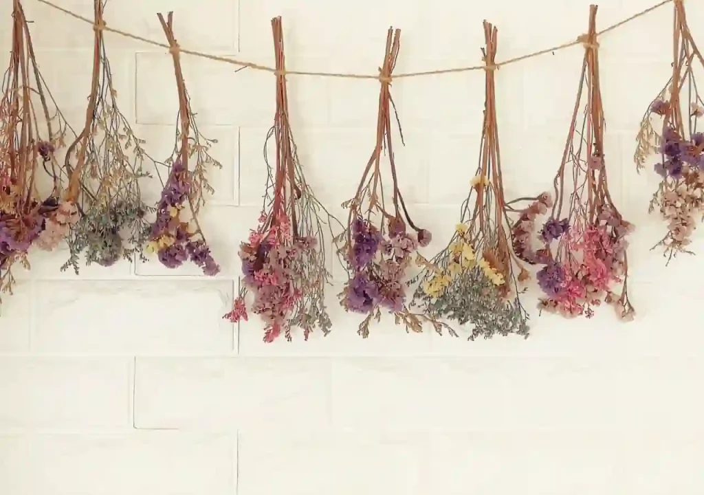 The image shows several bundles of dried flowers hanging upside down from a string. The flowers are tied with twine and come in a variety of colors including purple, pink, yellow, and white. The background is a white brick wall. This method of drying flowers is not only practical for preservation but also quite beautiful, adding a rustic and charming touch to any space. Dried flowers can be used in various crafts, decorations, or simply as a lasting memento of a special occasion.