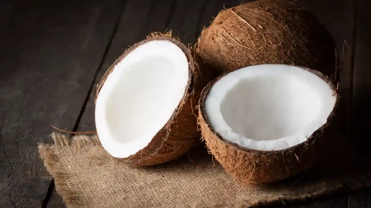 The image shows two halves of a coconut placed on a piece of burlap fabric. The coconuts are brown and hairy on the outside, with a white, fleshy interior. One half is positioned to show the inside, while the other half is placed to show both the inside and the outer shell. This image is interesting and relevant as it highlights the texture and appearance of a coconut, which is a tropical fruit known for its versatile uses in cooking, beverages, and as a source of coconut oil.