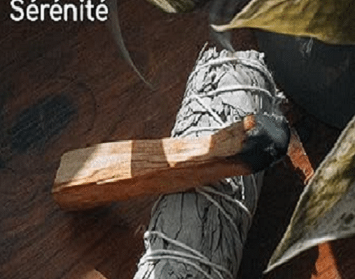 sauge et palo santo posé dessus et du feuillage