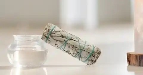 sauge blanche appuyé sur un récipient transparent rempli d'eau